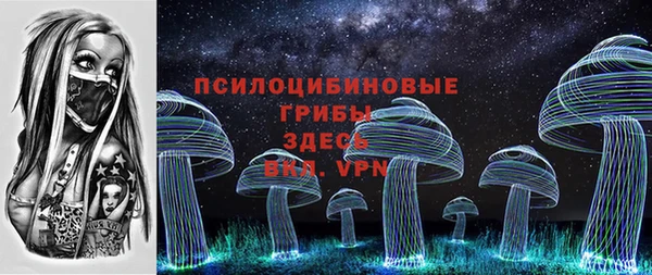 ECSTASY Алзамай