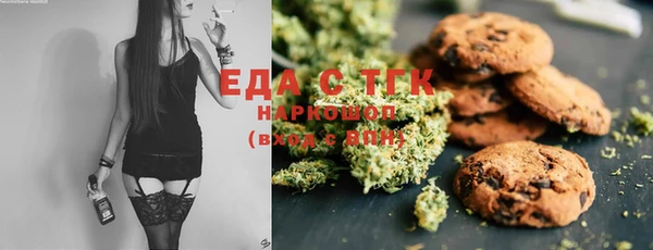 ECSTASY Алзамай