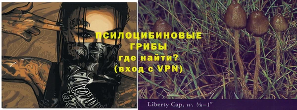 ECSTASY Алзамай