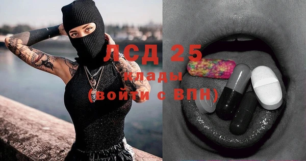 apvp Алексин