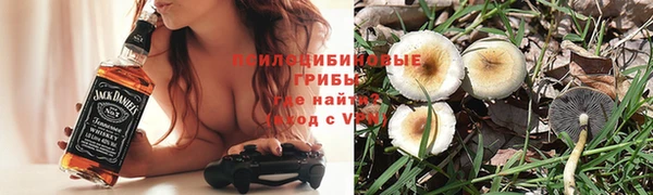 apvp Алексин