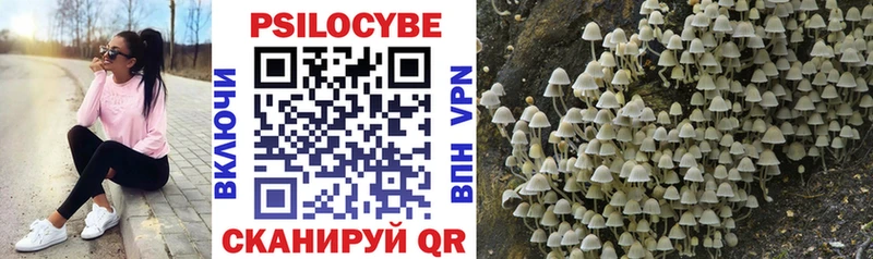 Псилоцибиновые грибы мухоморы  Змеиногорск 